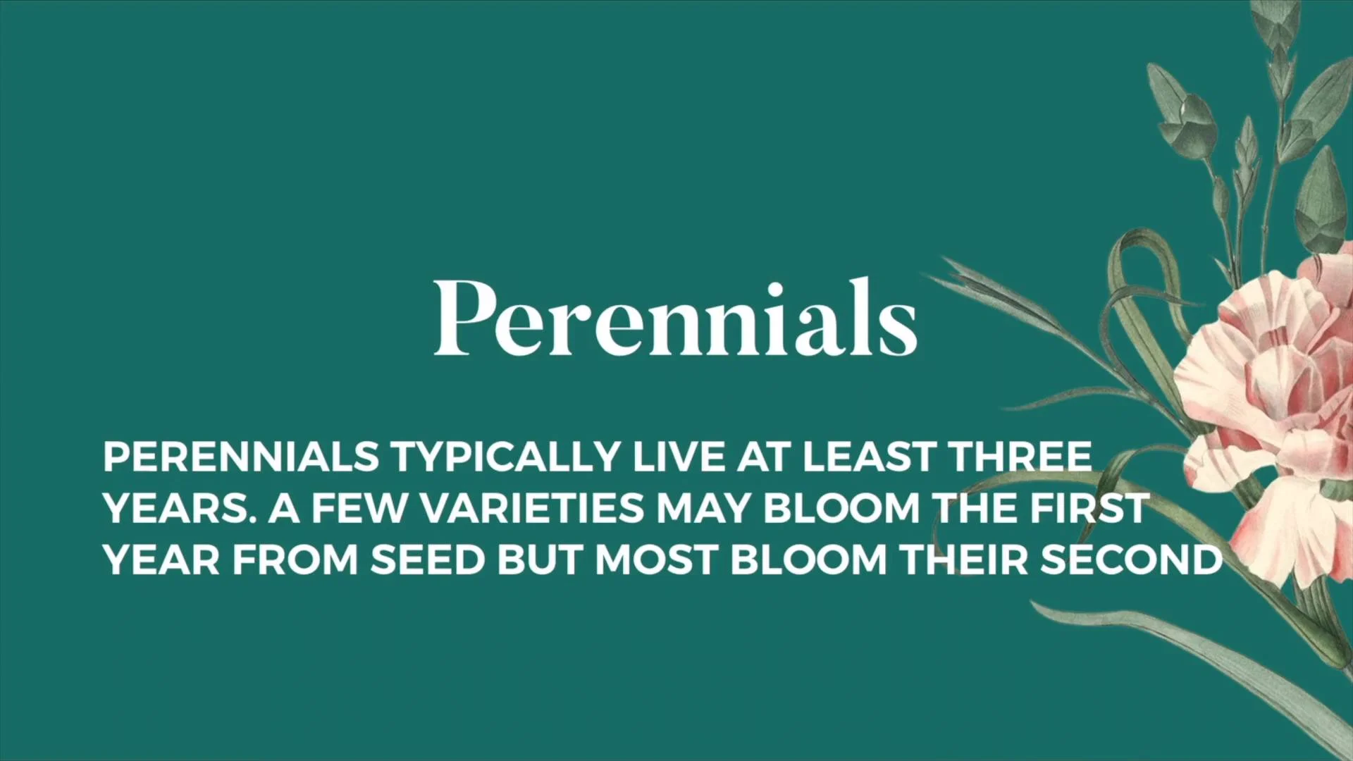 Know Your Plants and Classifications