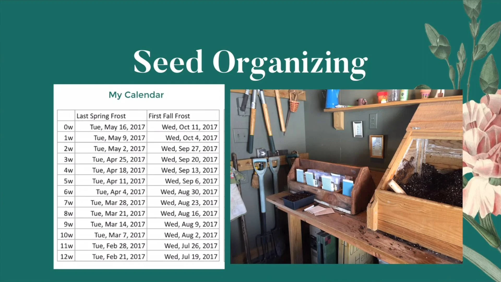 Seed Organizing