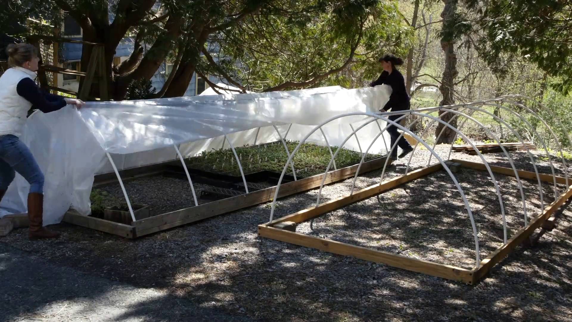 Hardening Off Demonstration