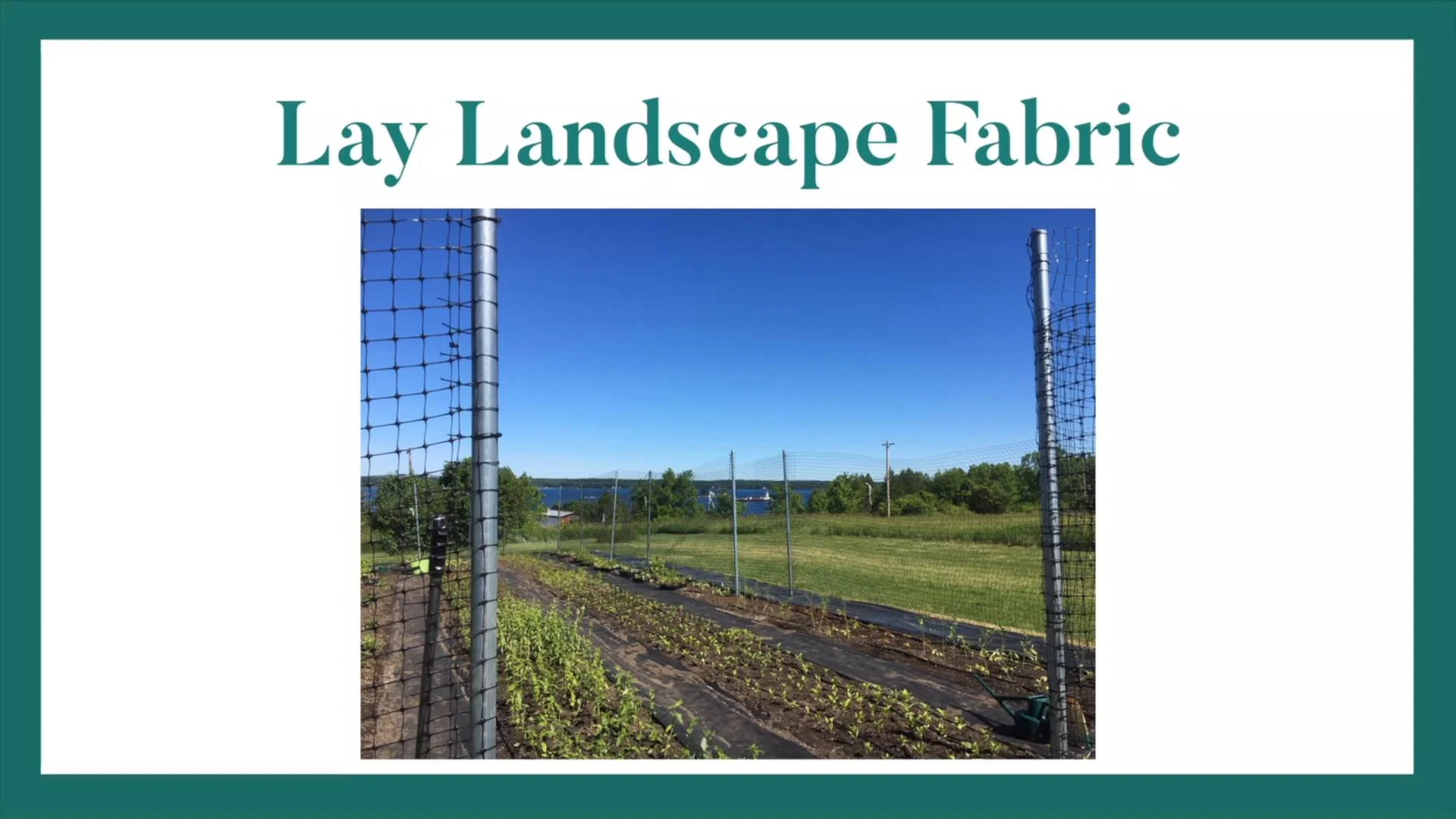 Amendments and Hardware