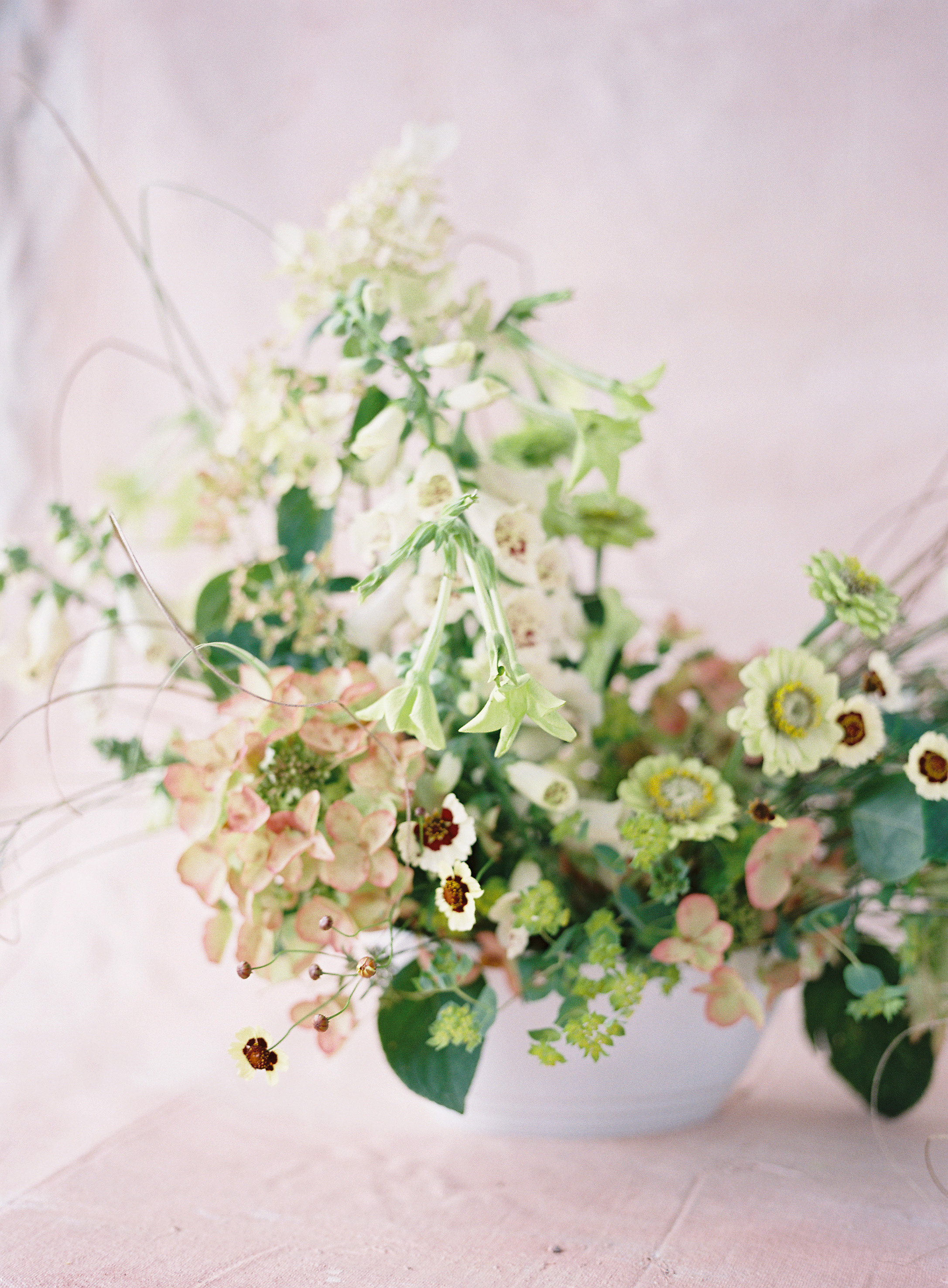 HeatherPayne_TeamFlowerAug_04.jpg
