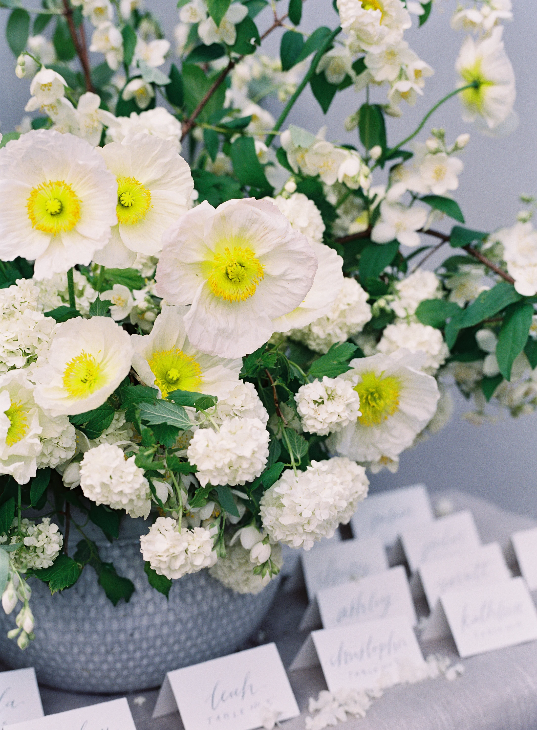 Design classes bundle