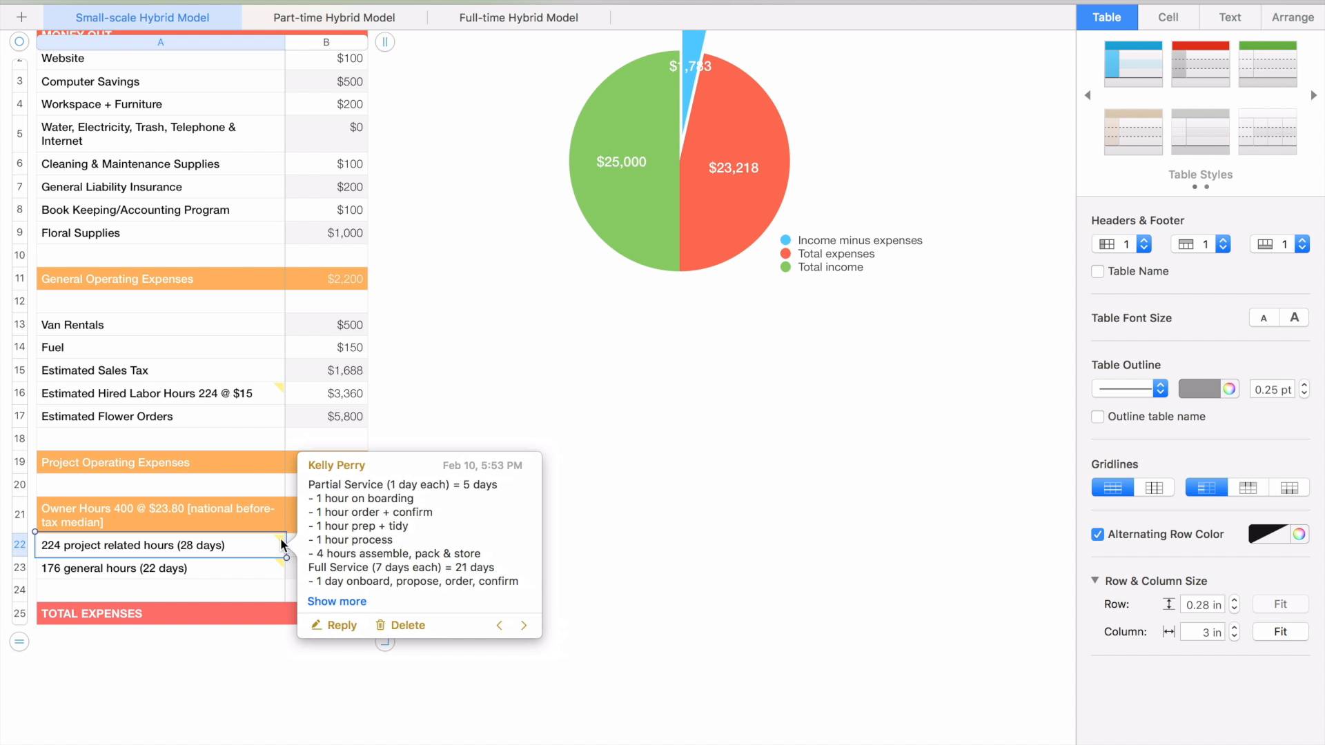 Big Picture Business Budget