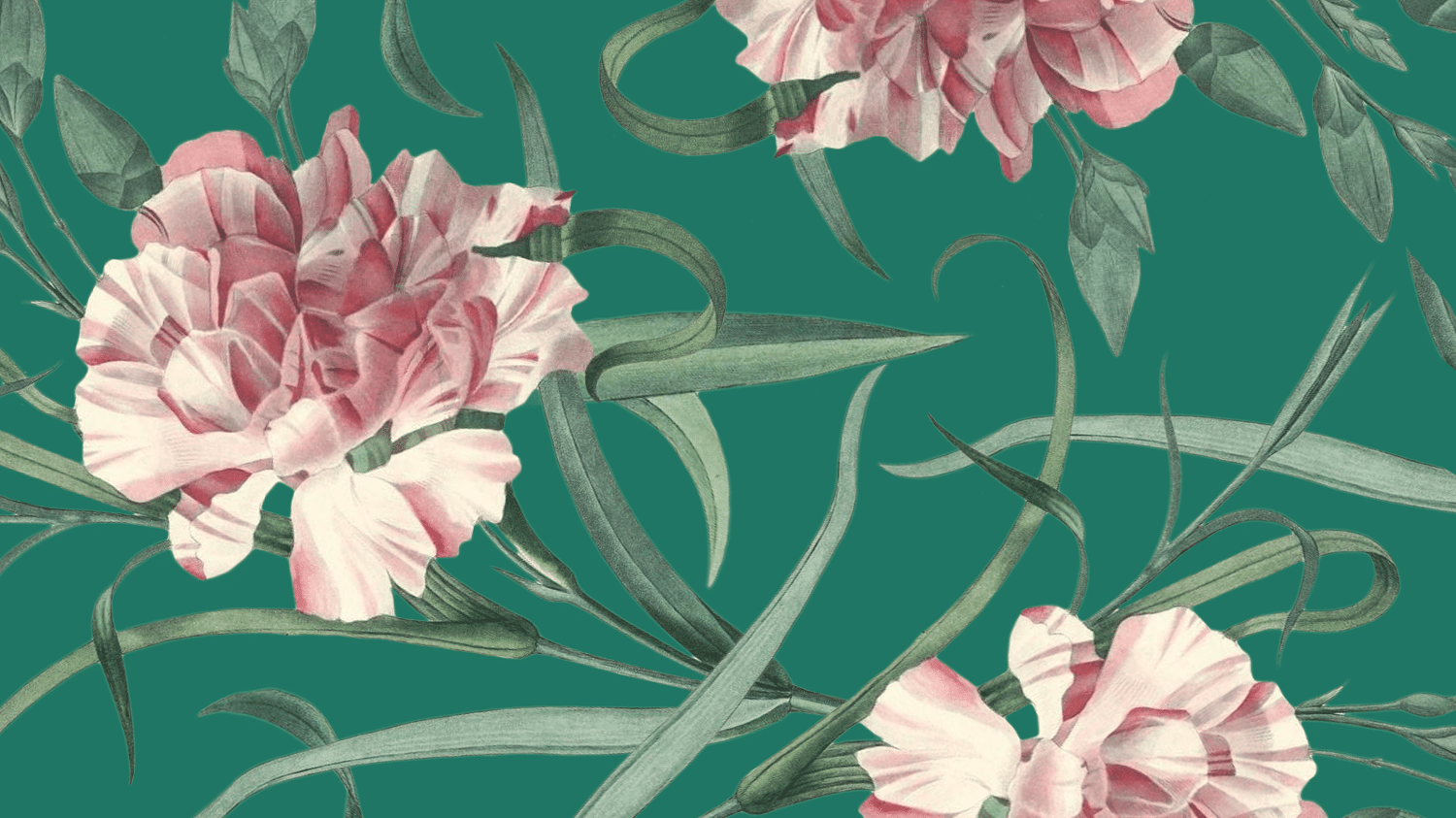 Growing header.png