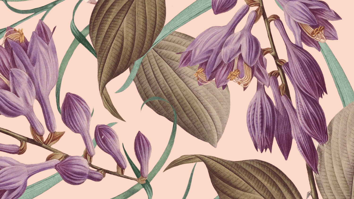 Design header.png