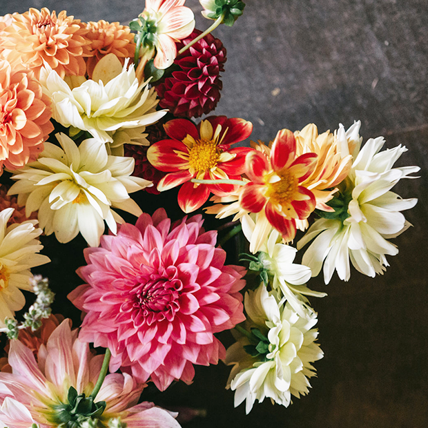 Growing for Fall Weddings