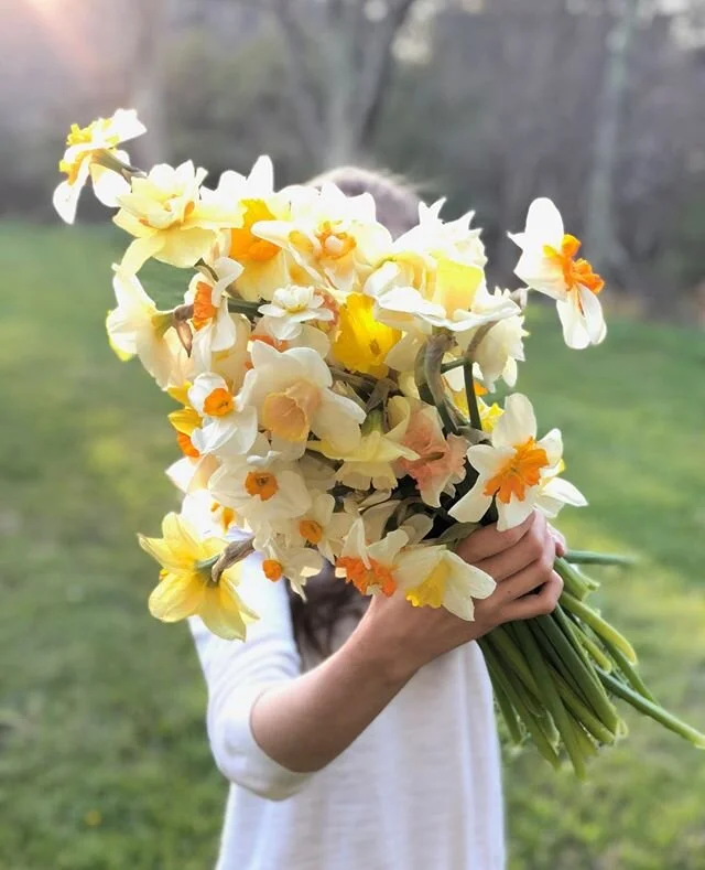 A weekend reminder that Team Flower All Access enrollment is coming to an end! 💐⁠
⁠
👉🏼 GET ACCESS TO ALL 15 CLASSES FOR ONLY $49 EACH MONTH!⁠ Is it crazy to offer so much at such a great price? ⁠
Hurry and sign up before we change our minds!⁠
⁠
Wh