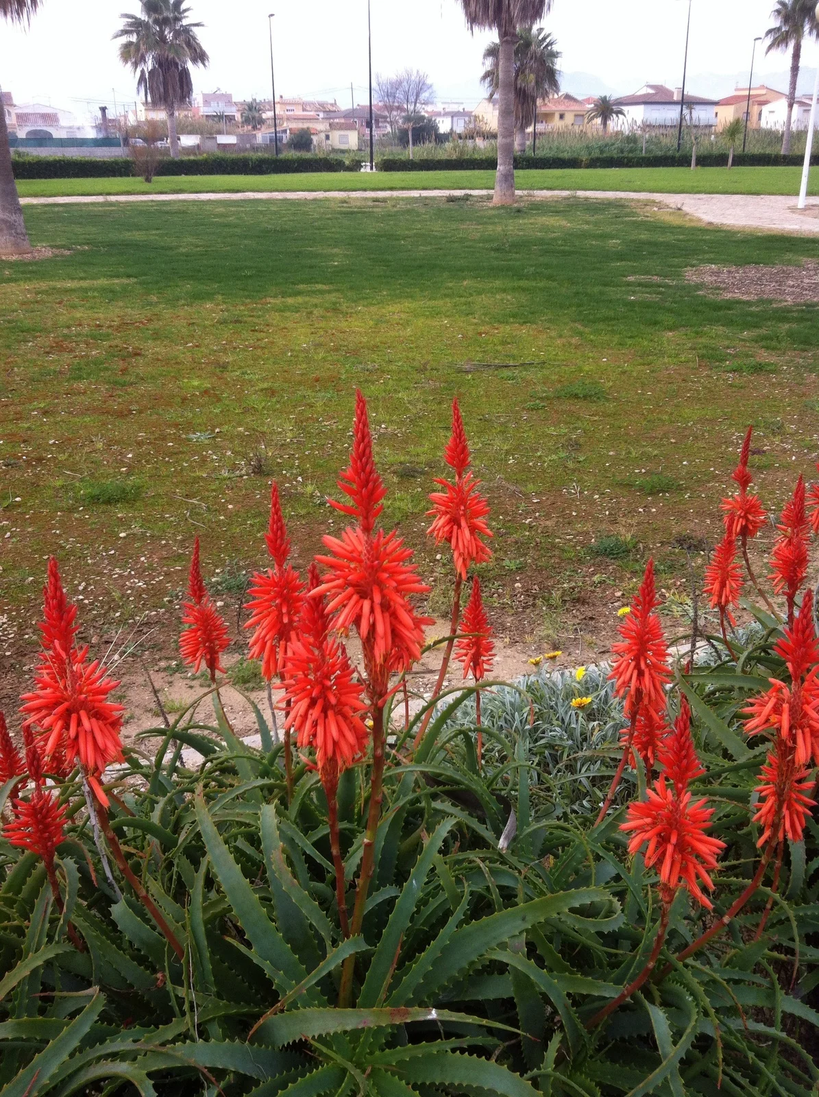 Geometría (43). Radios de circunferencias