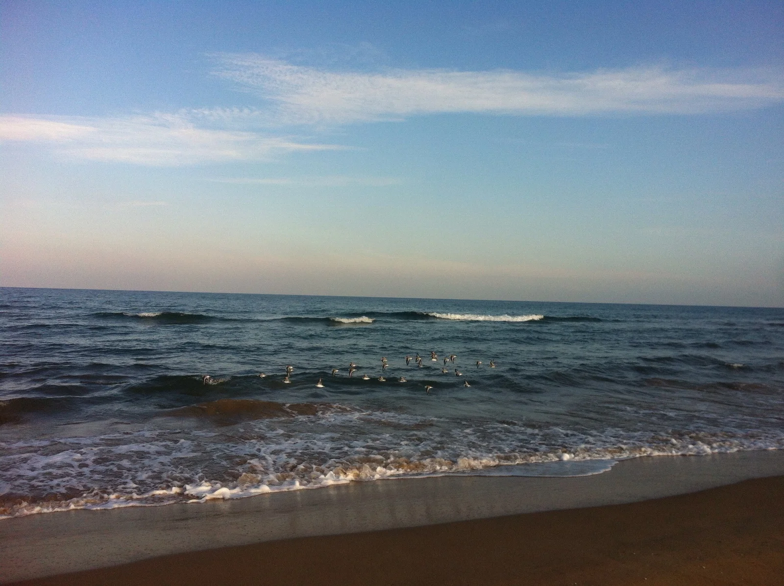 Geometría (44). Pentágonos