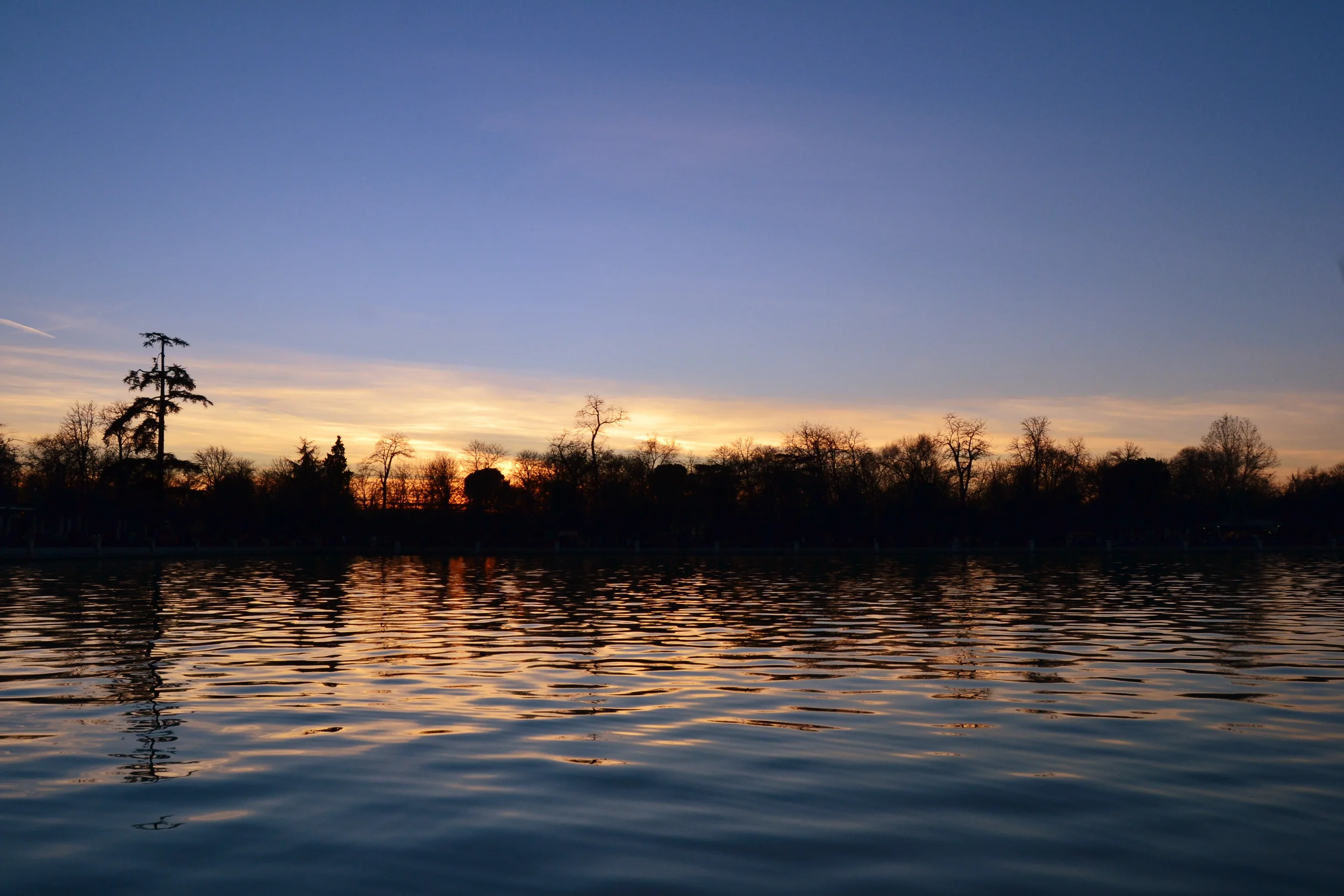 Geometría (49). Dos áreas