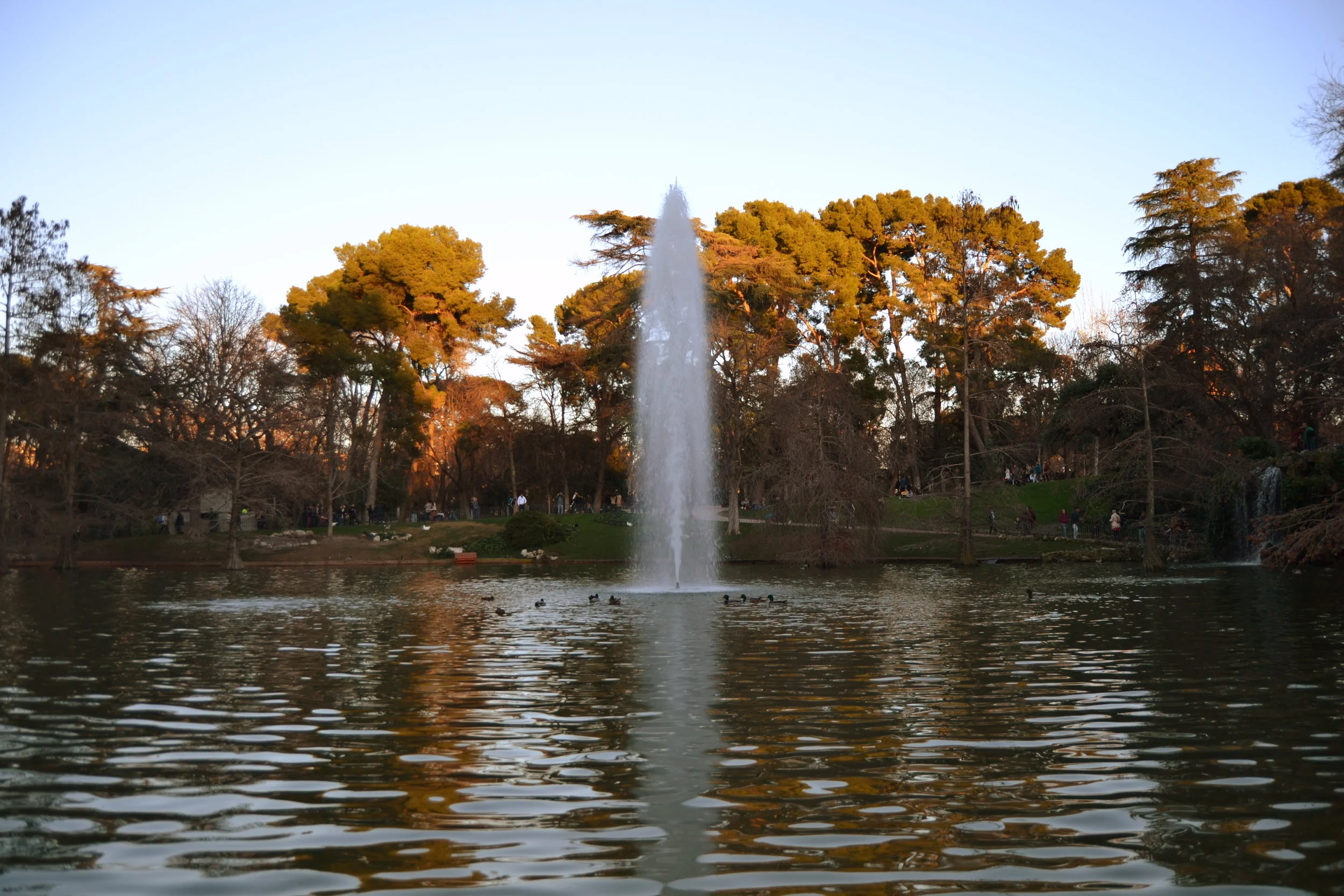 Geometría (83). Octógono