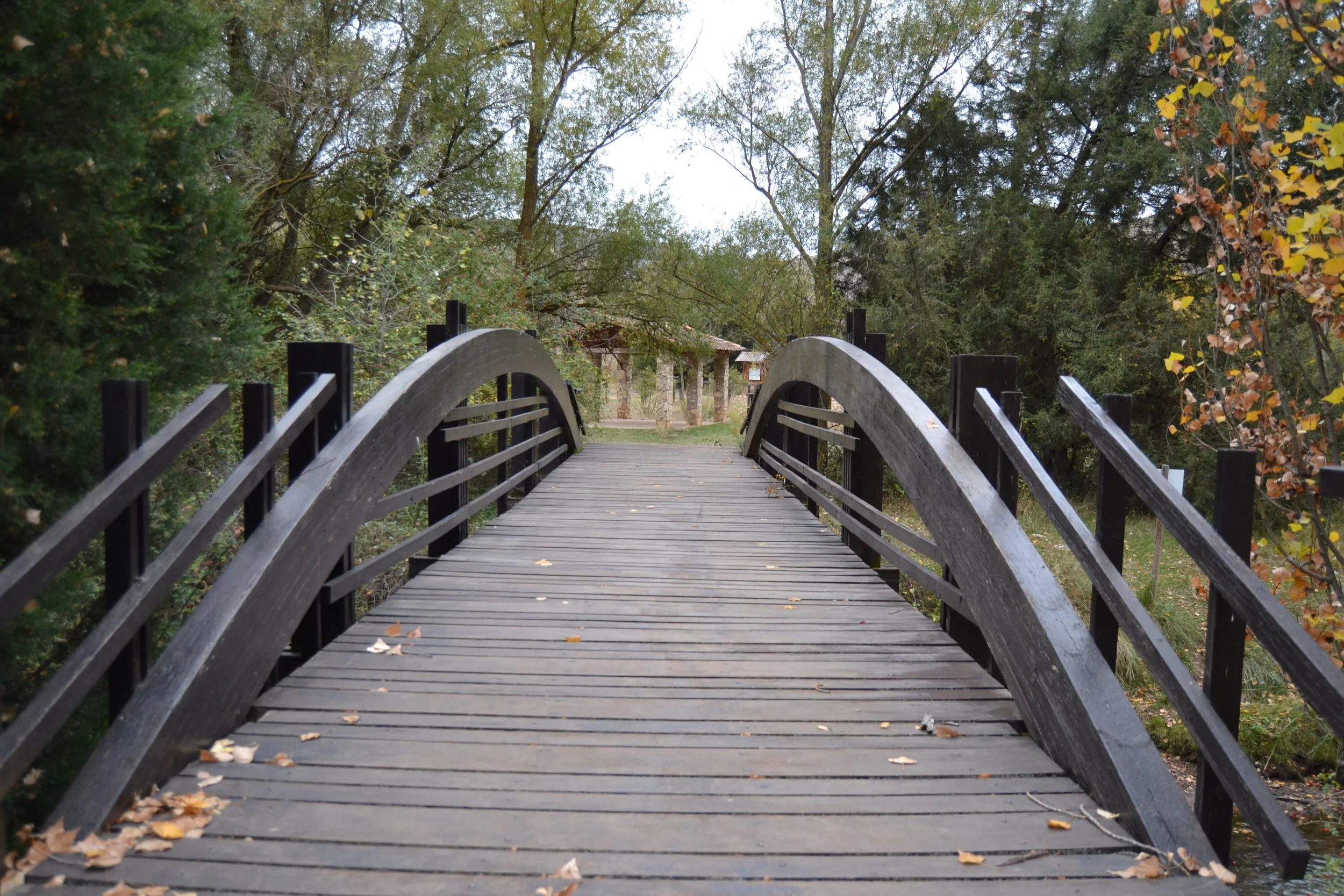 Geometría (85). Monedas