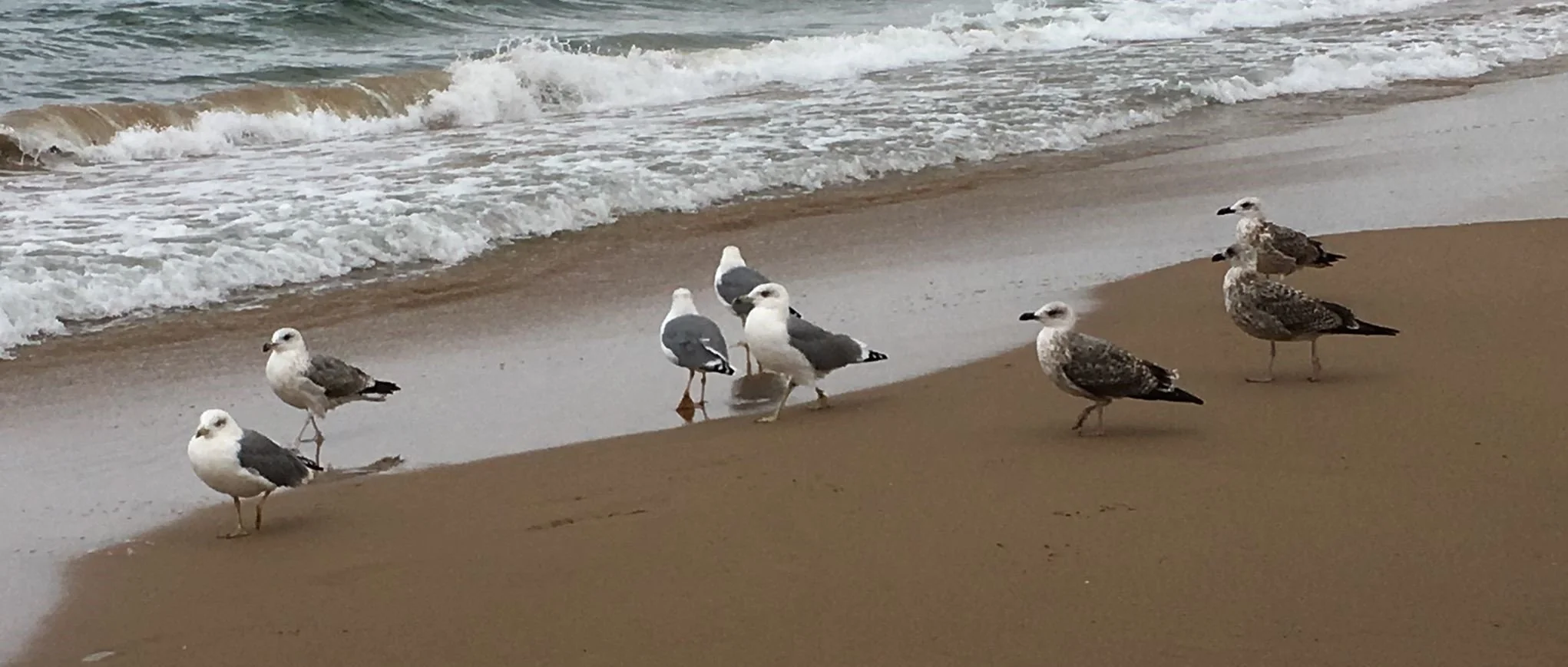 Geometría (312). Trapecio 3