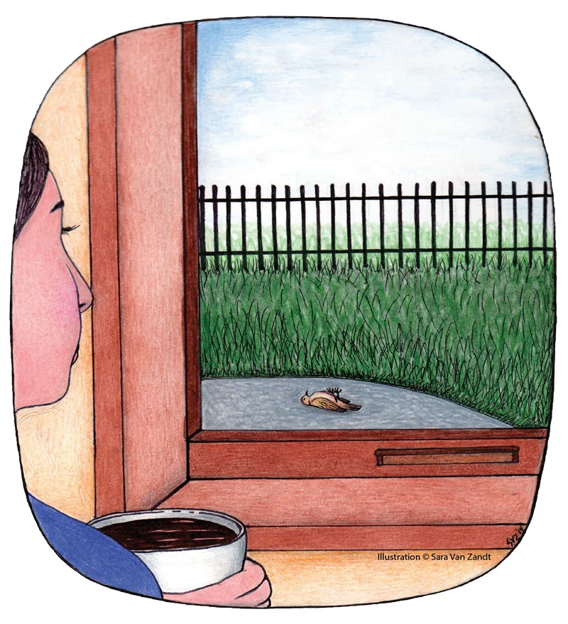 Guidance on a Saturday Morning by Brady Mikusko