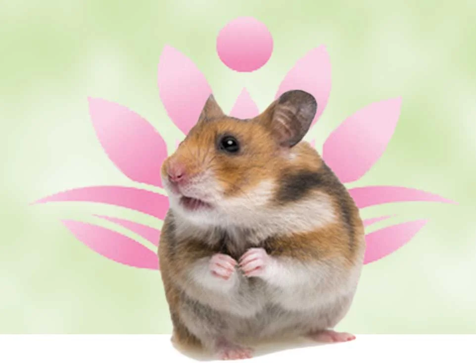 Zen and the Art of Hamster Maintenance:  Thoughts on Passion, Purpose, and Parenting 