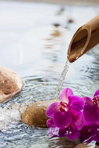 Expanding the Scope: First-Year Medical Students at U-M Shadow CAM Practitioners in the Community