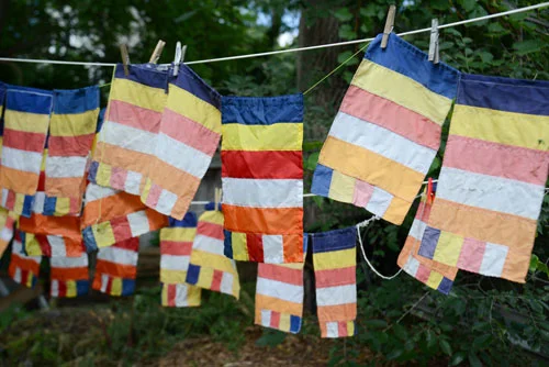 Changing the World, One Scrap at a Time