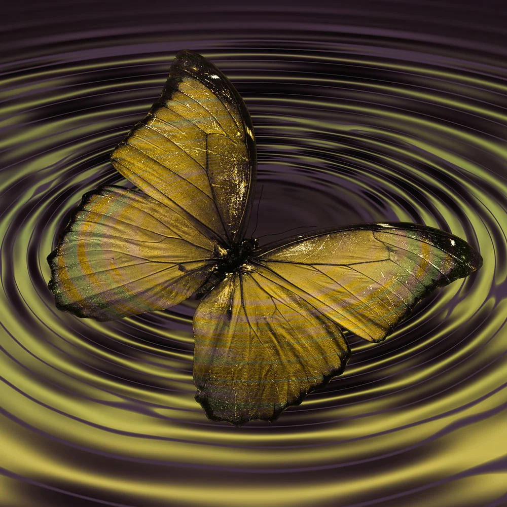 Becoming More Conscious