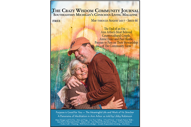 Issue 66