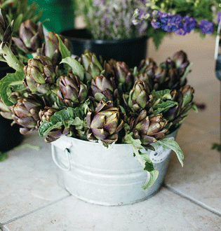 Michigan Flower Growers’ Cooperative Brings Local Flowers to the Table