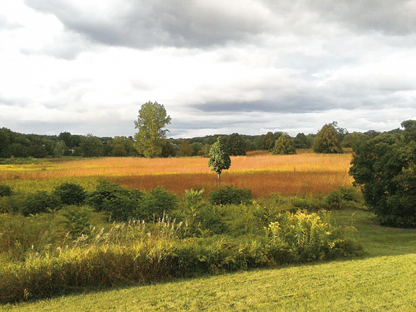 HLG_Russ-Millett-070717.gif