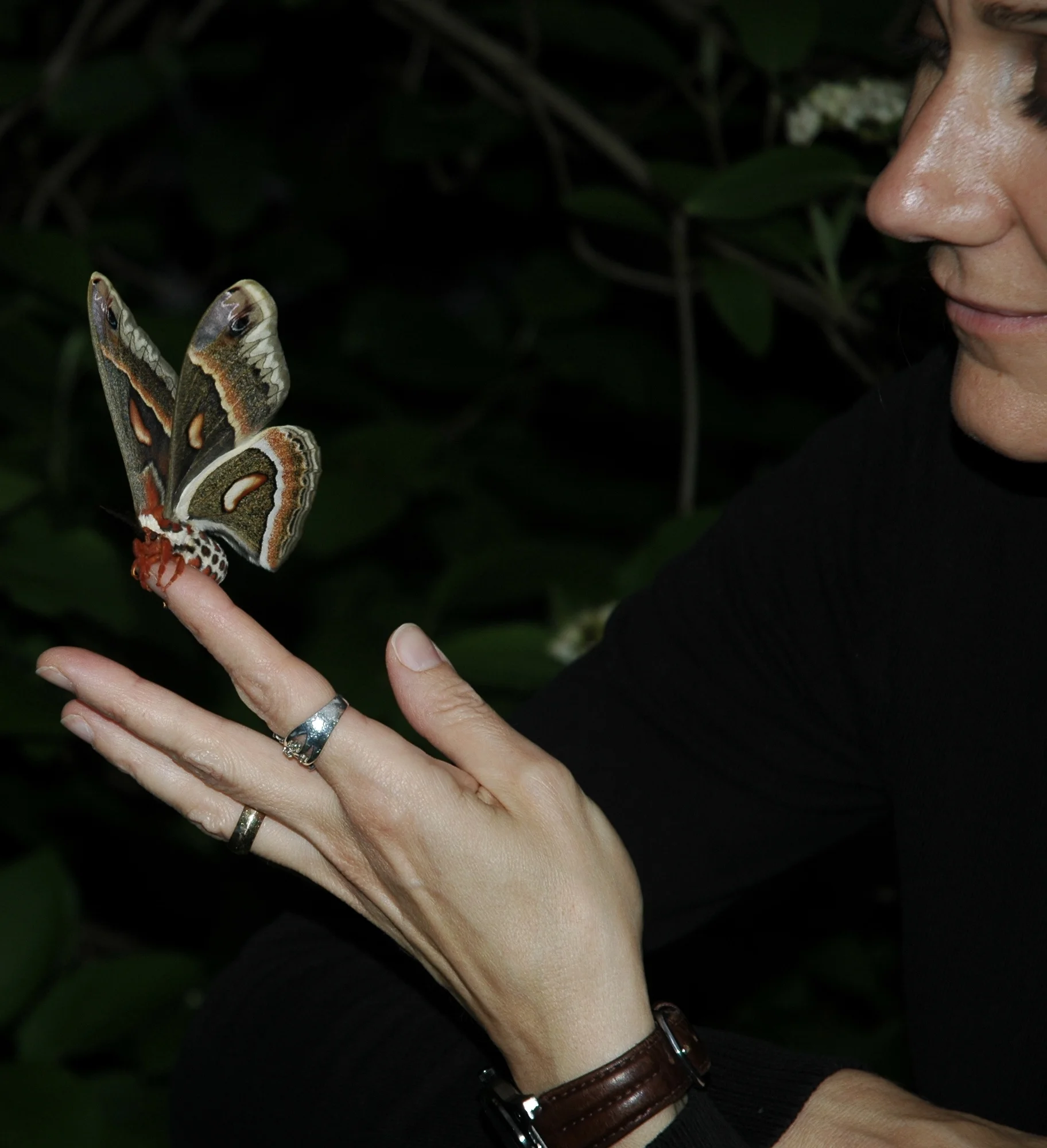 How I Came to Be an Art Therapist