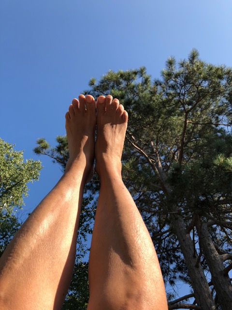 Lessons From the Trees