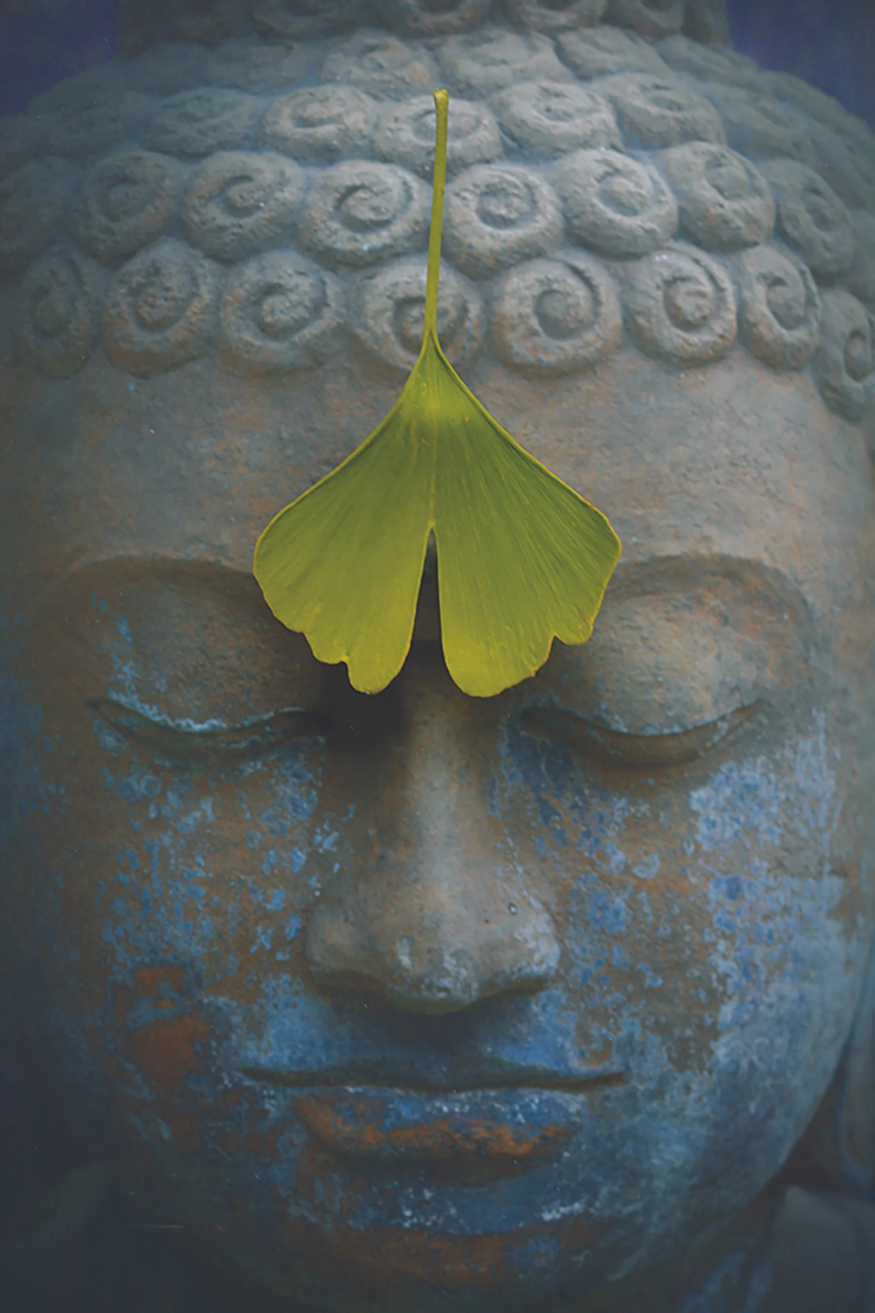 buddha-2728793_1920-header.jpg