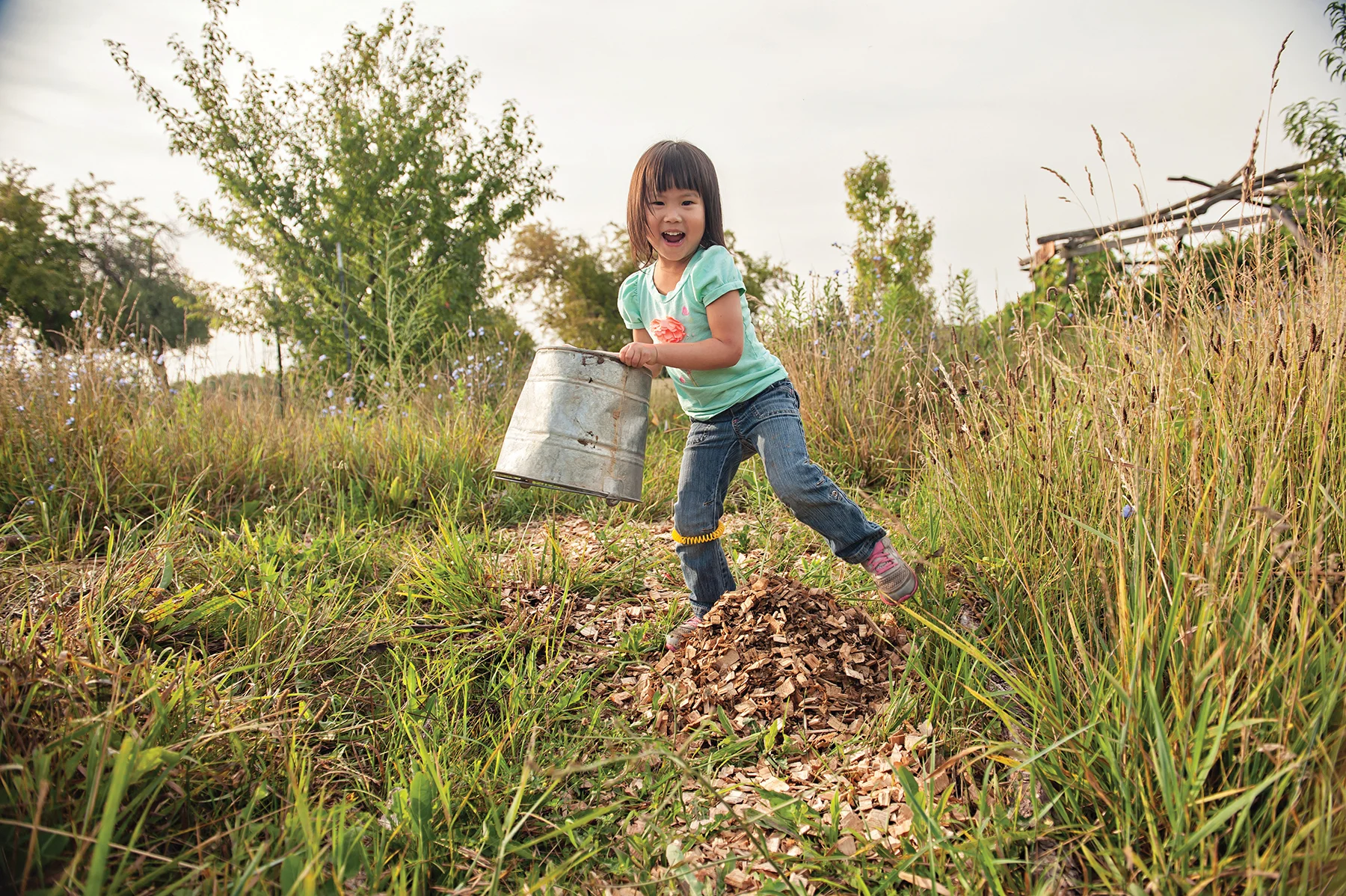 Ann_Arbor_Forest_School_012.jpg