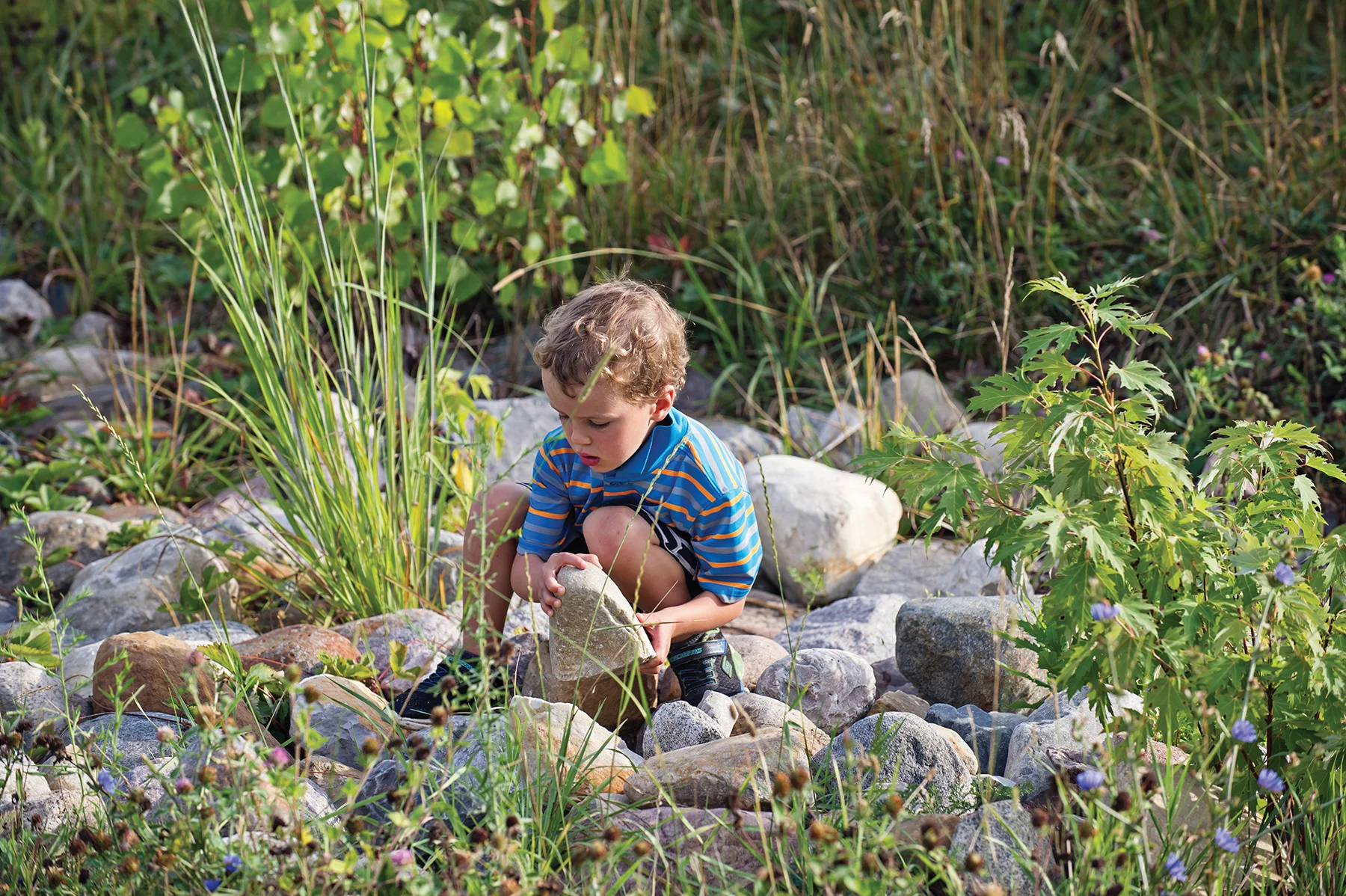 Ann_Arbor_Forest_School_028.jpg