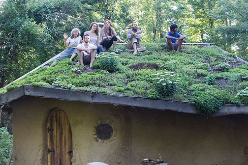 Interns on Hobbit Sauna Living Roof 2016 - Copy (2).jpg