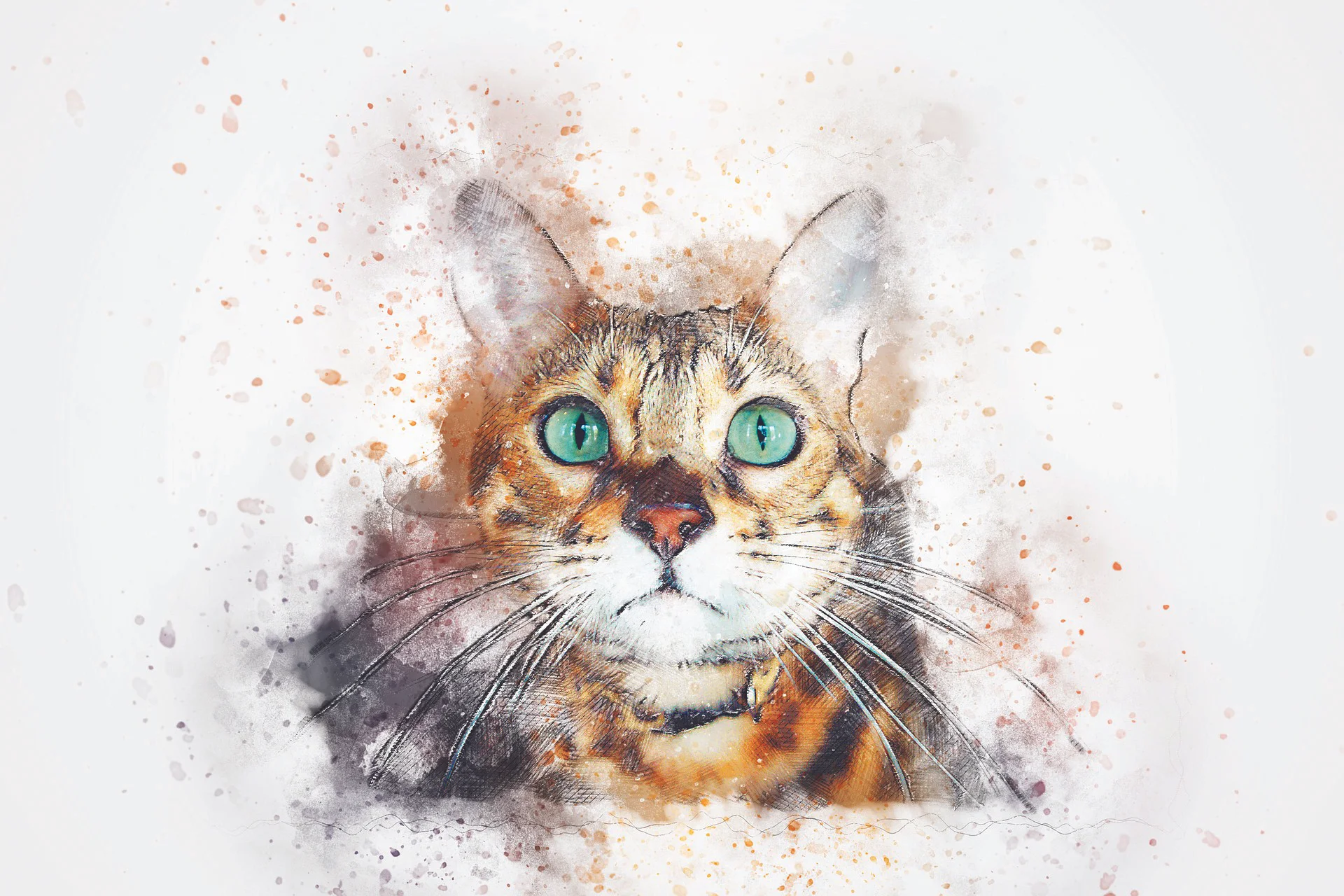 watercolor-cat.jpg
