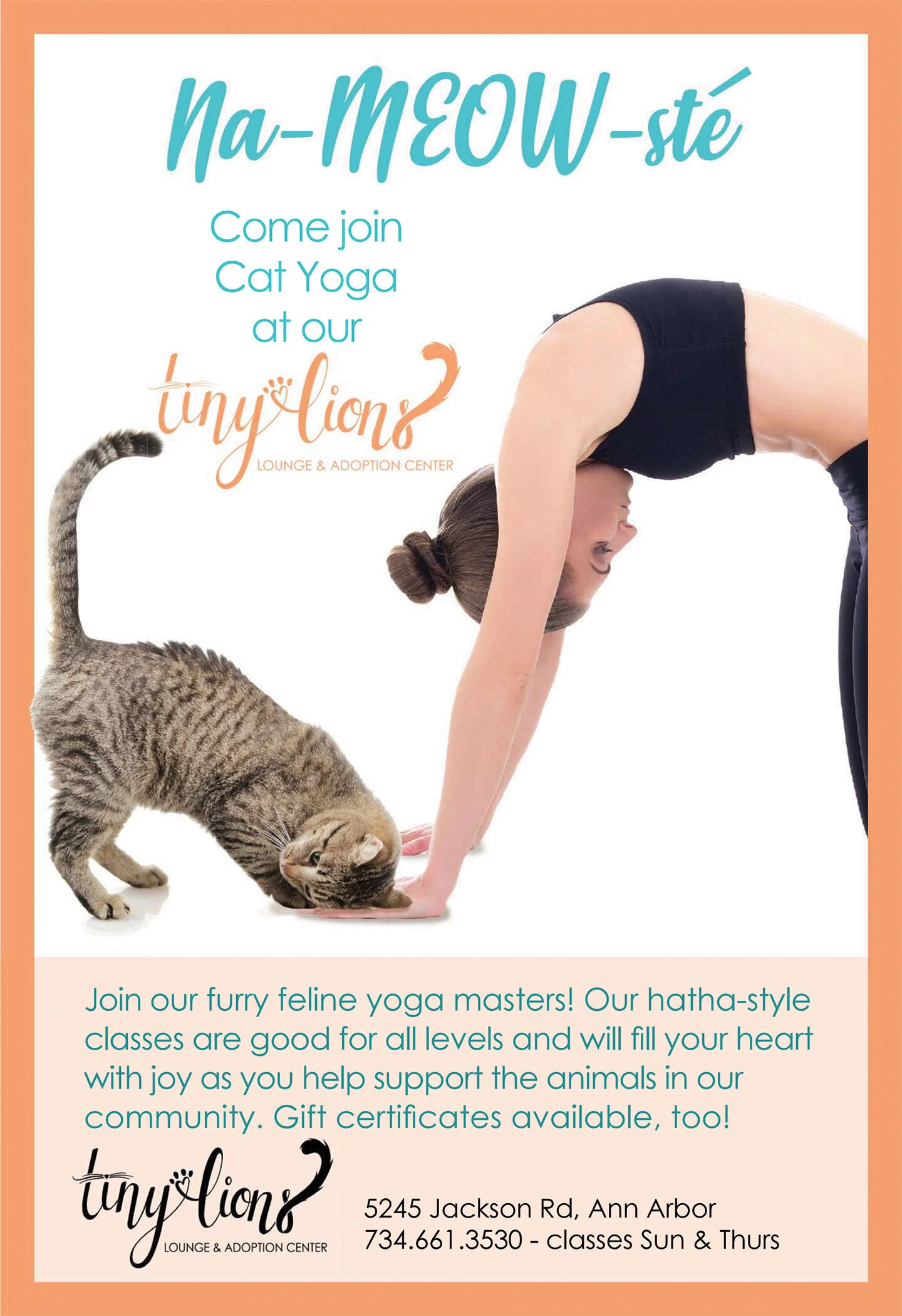 Learn more at tinylions.org.