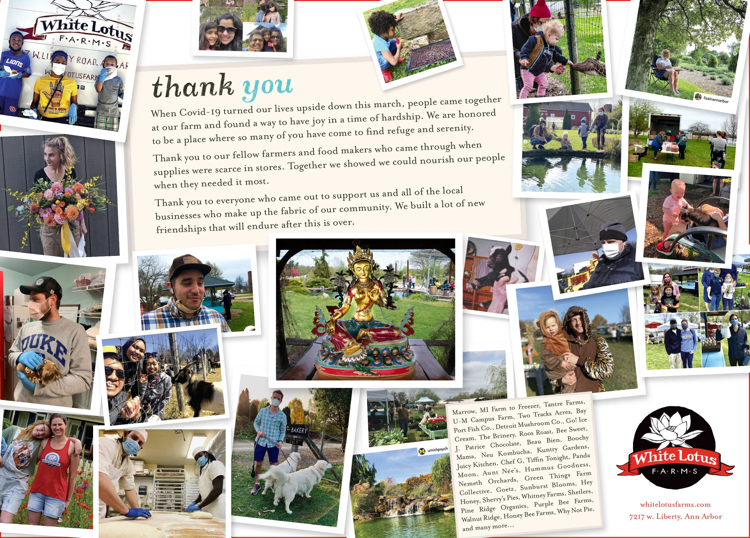 Learn more at whitelotusfarms.com