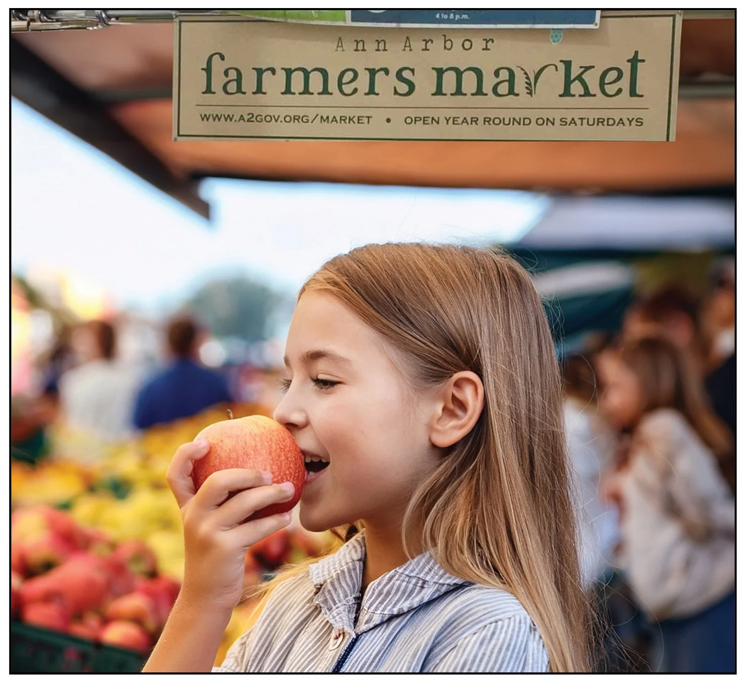 Kids in the Community:Harvesting Apples, Gratitude, New Knowldedge, and Skills In and Around Ann Arbor