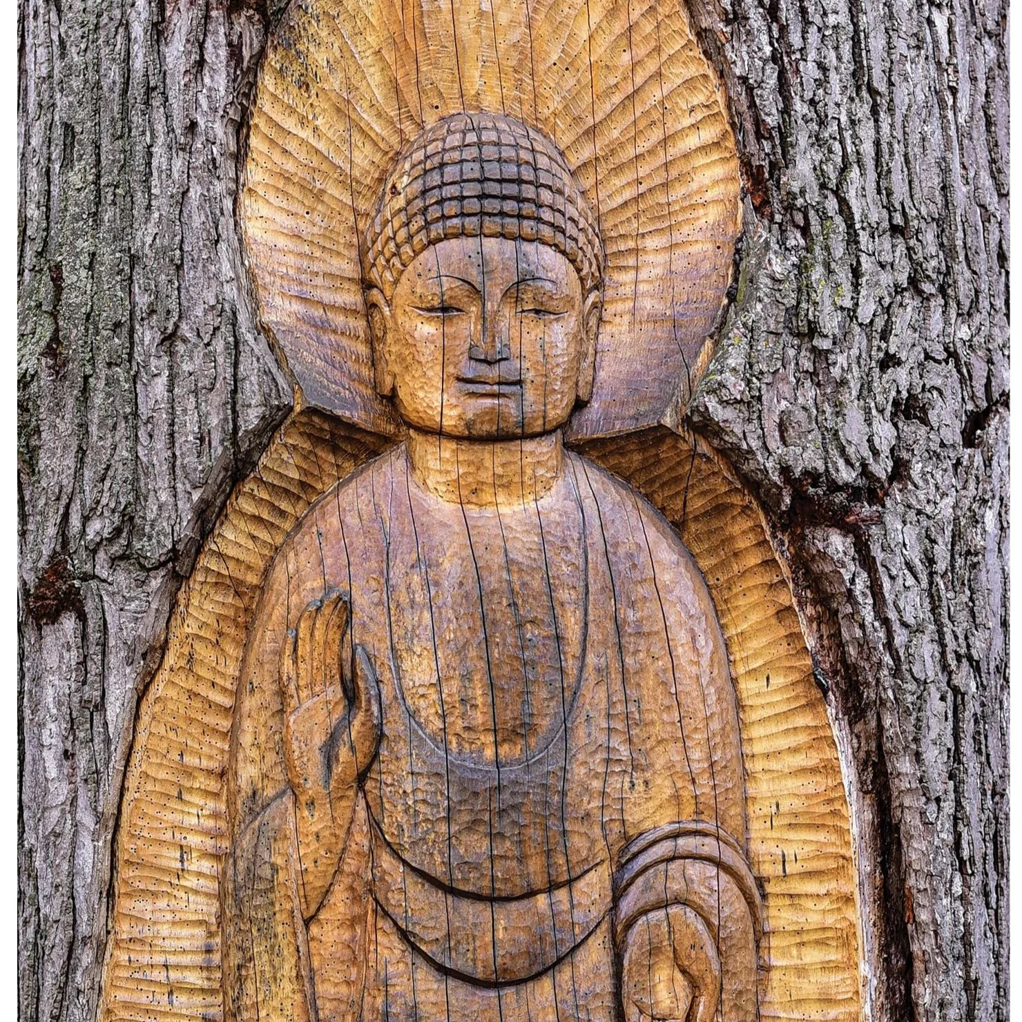 Ann Arbor’s Zen Buddhist Temple  Prepares for a New Era