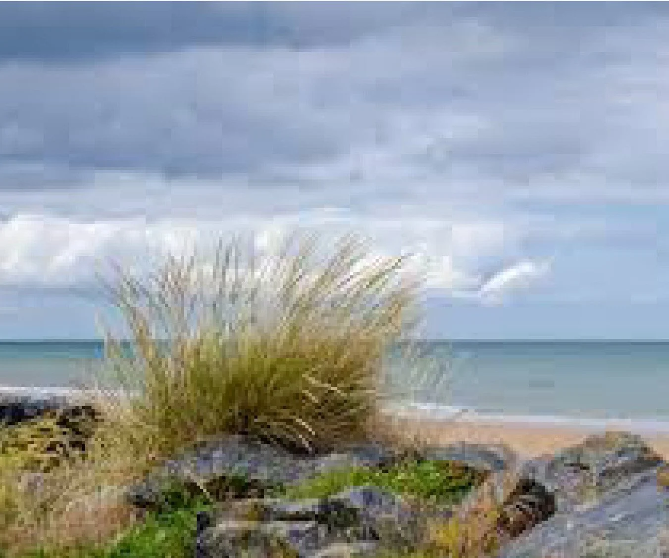 A Conversation With the Oversoul of Omaha Beach