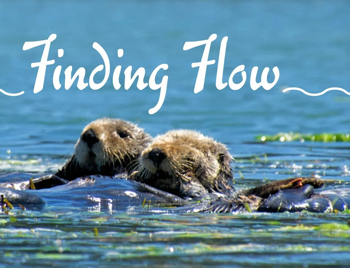 Finding Flow