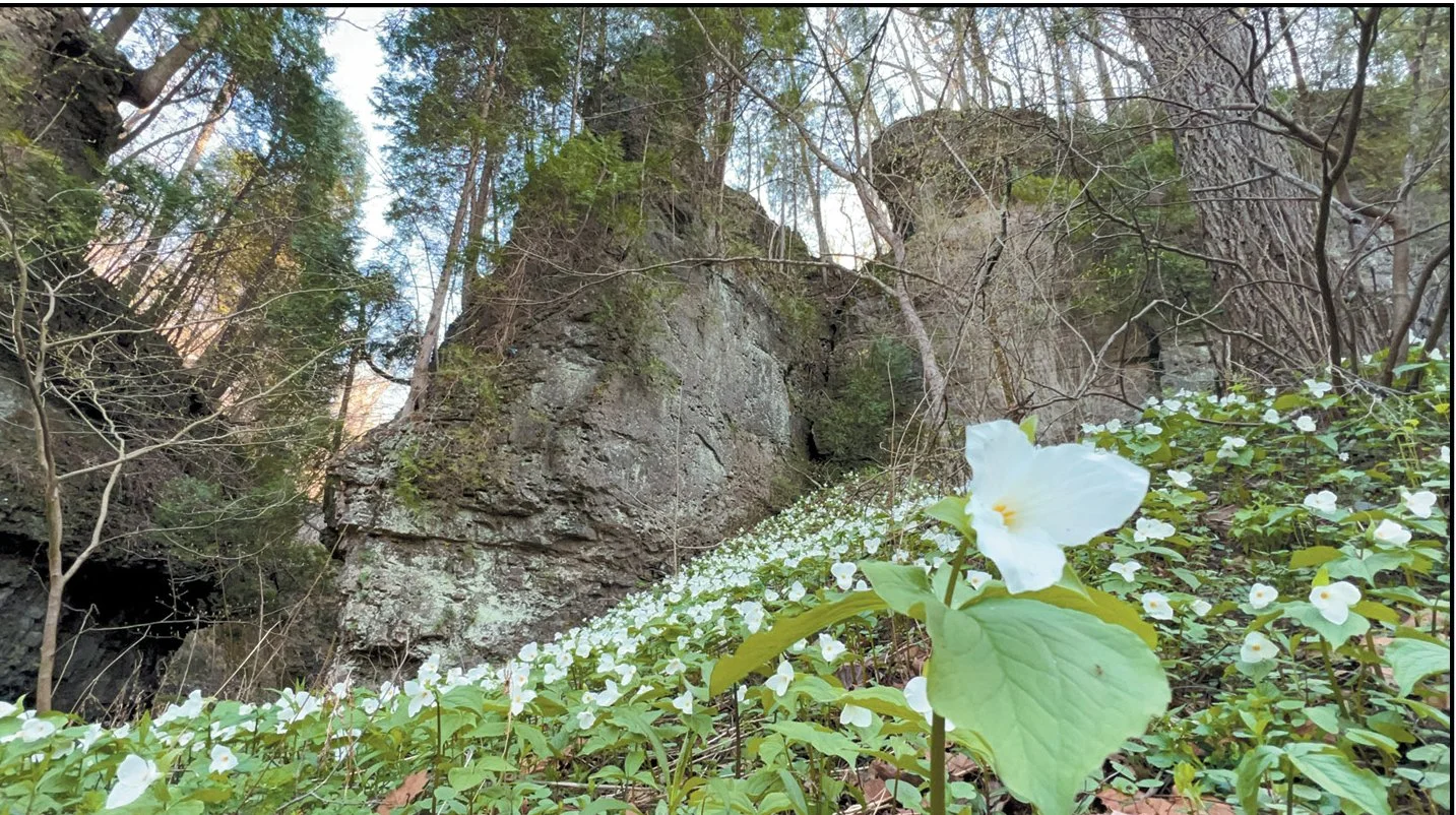 Weekend Getaway: The Arc of Appalachia: A Steward's Quest