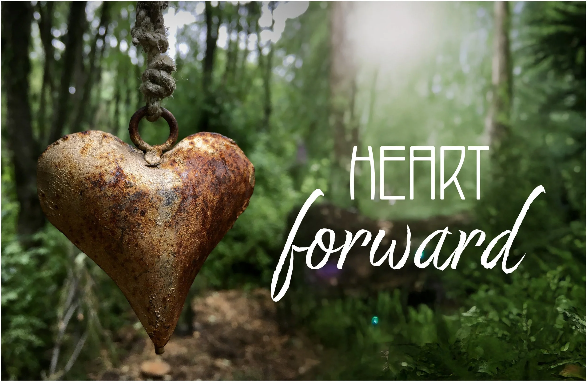 connection as word of the year