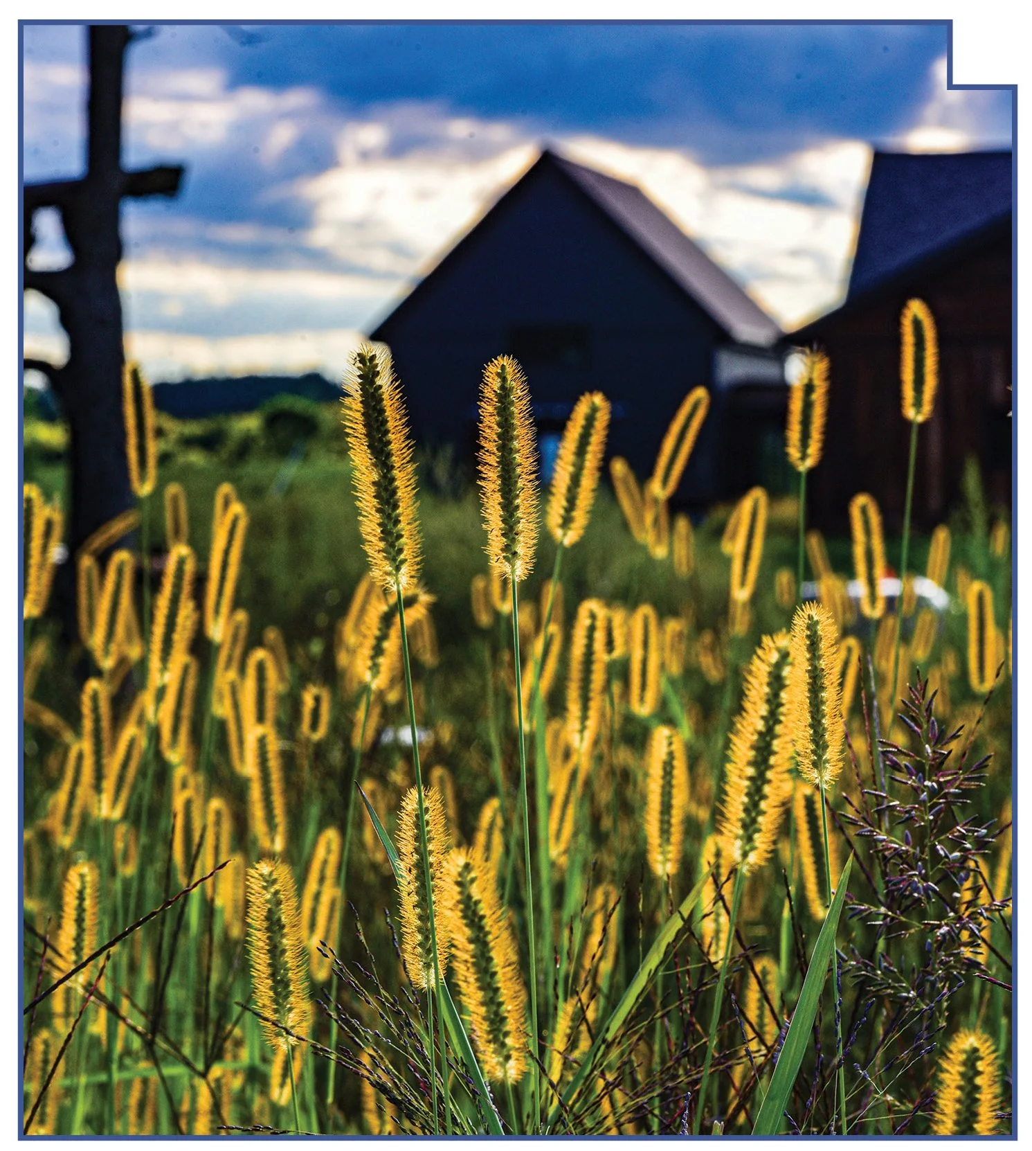 sunlight landscape in midwest