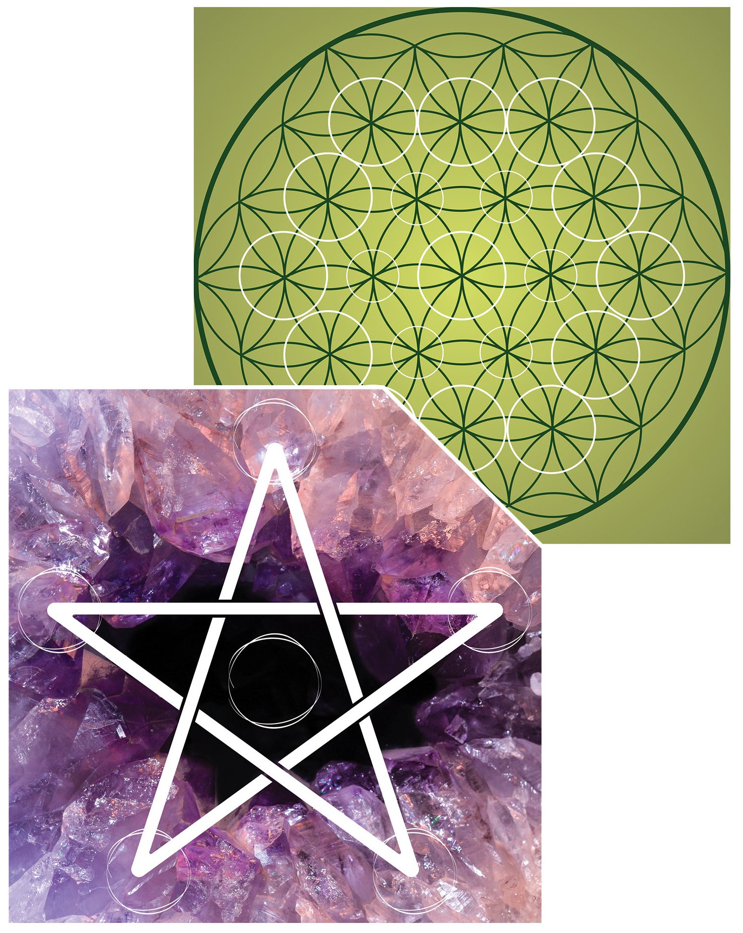 Spirit Seeds: Spring/Summer 2025