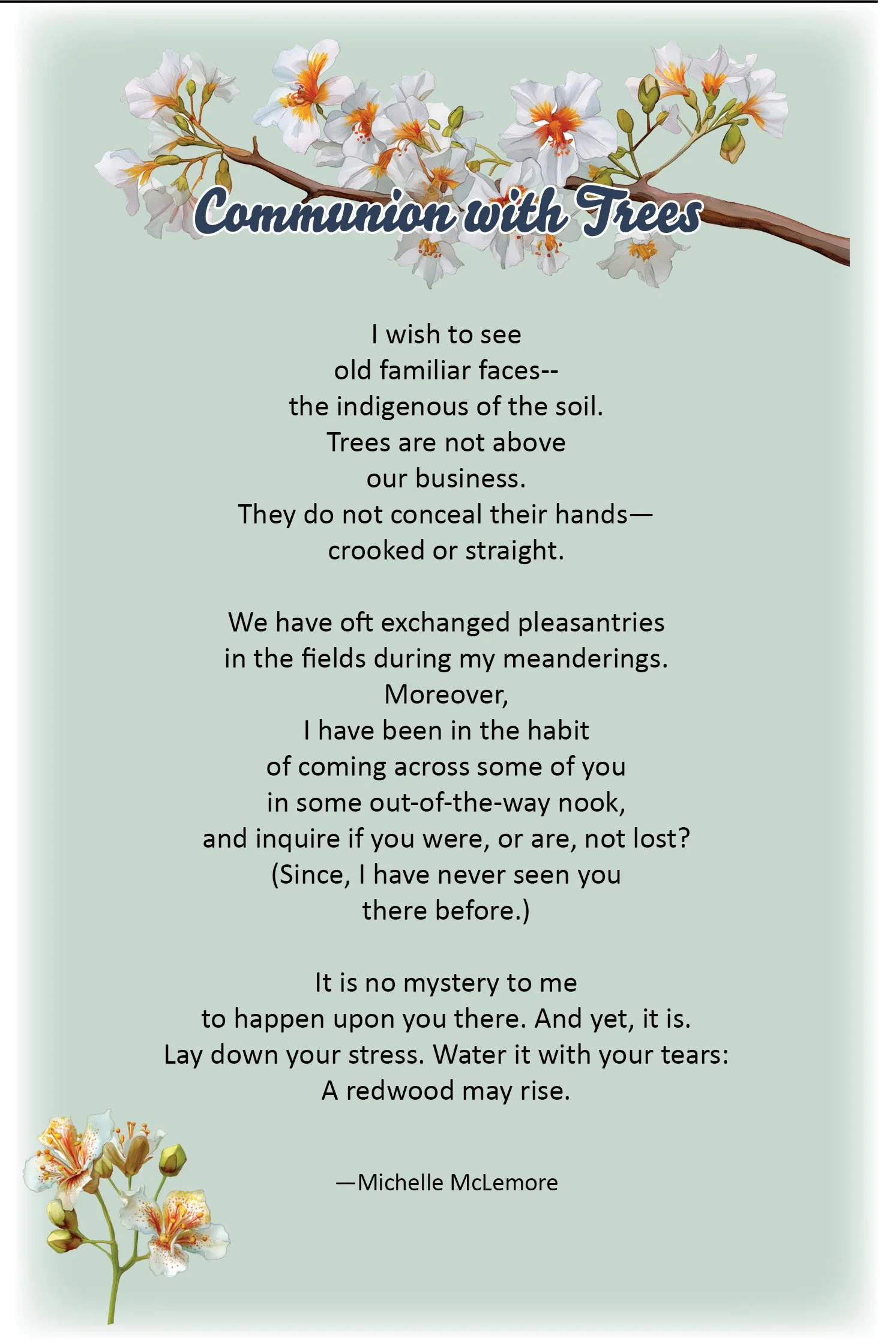 Illustrated poem by Michelle McLemore about catalpa trees