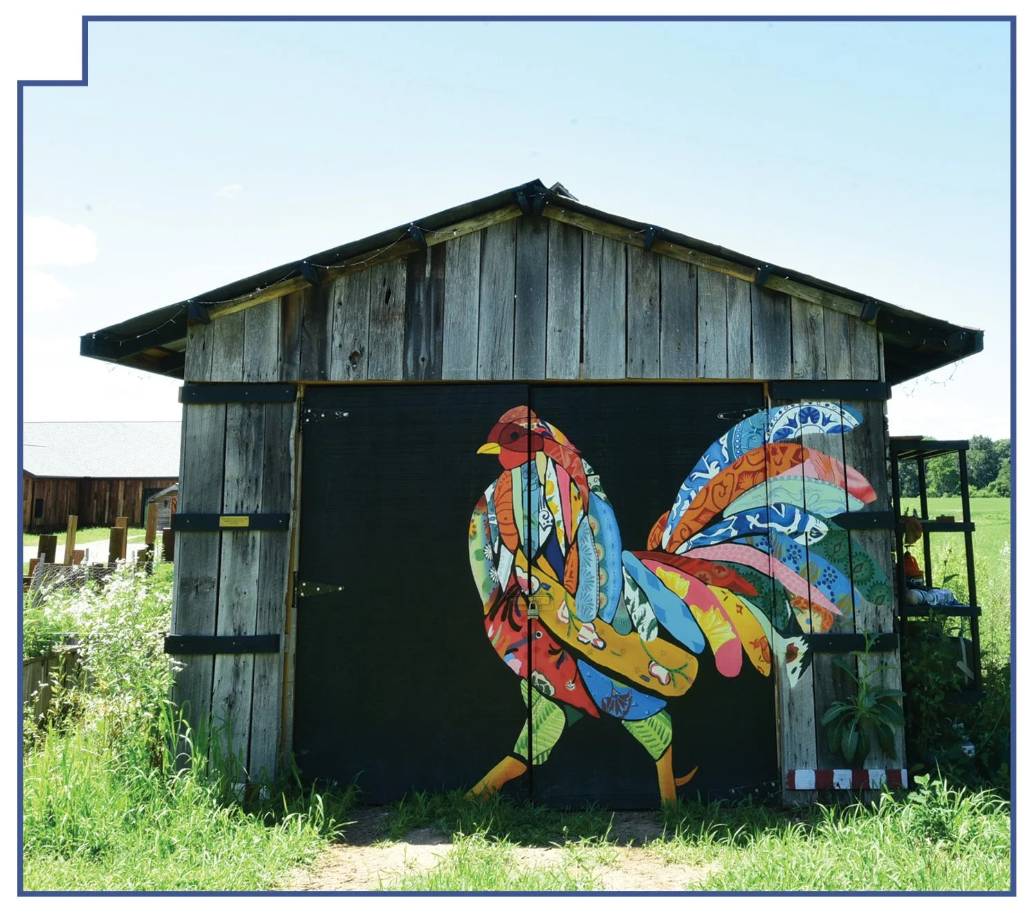 chicken mural on barn
