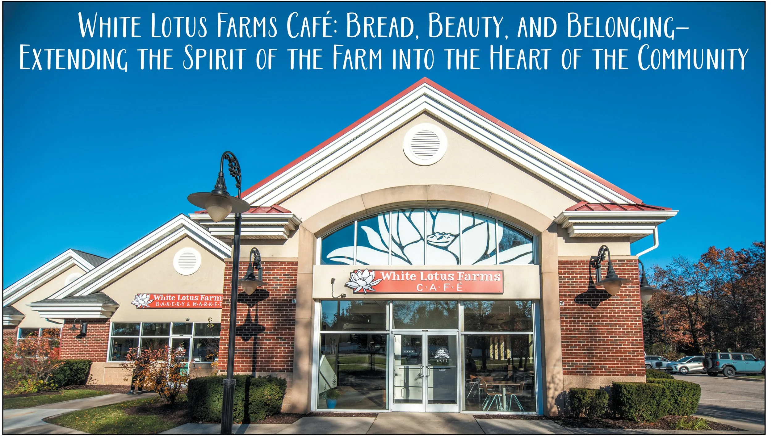 White Lotus Cafe, Ann Arbor