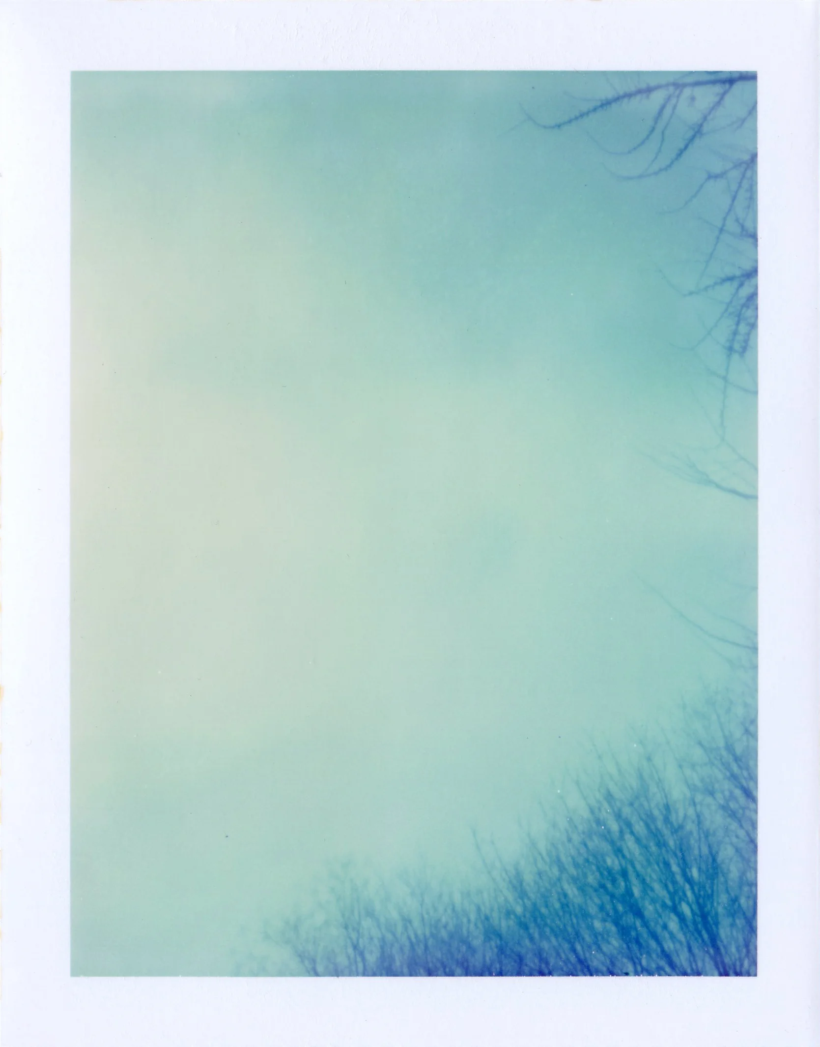 pinhole polaroid 3.25.10.jpg