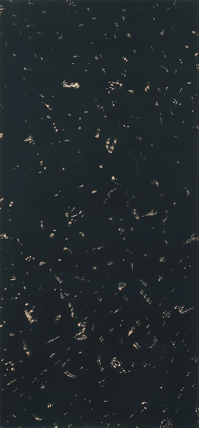study for 42x90.jpg