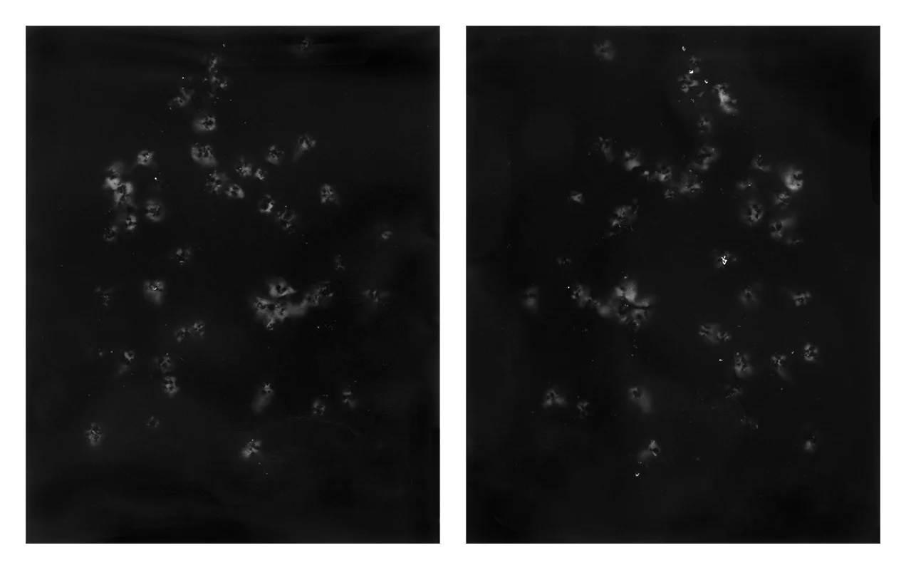 diptych half inch all around.jpg