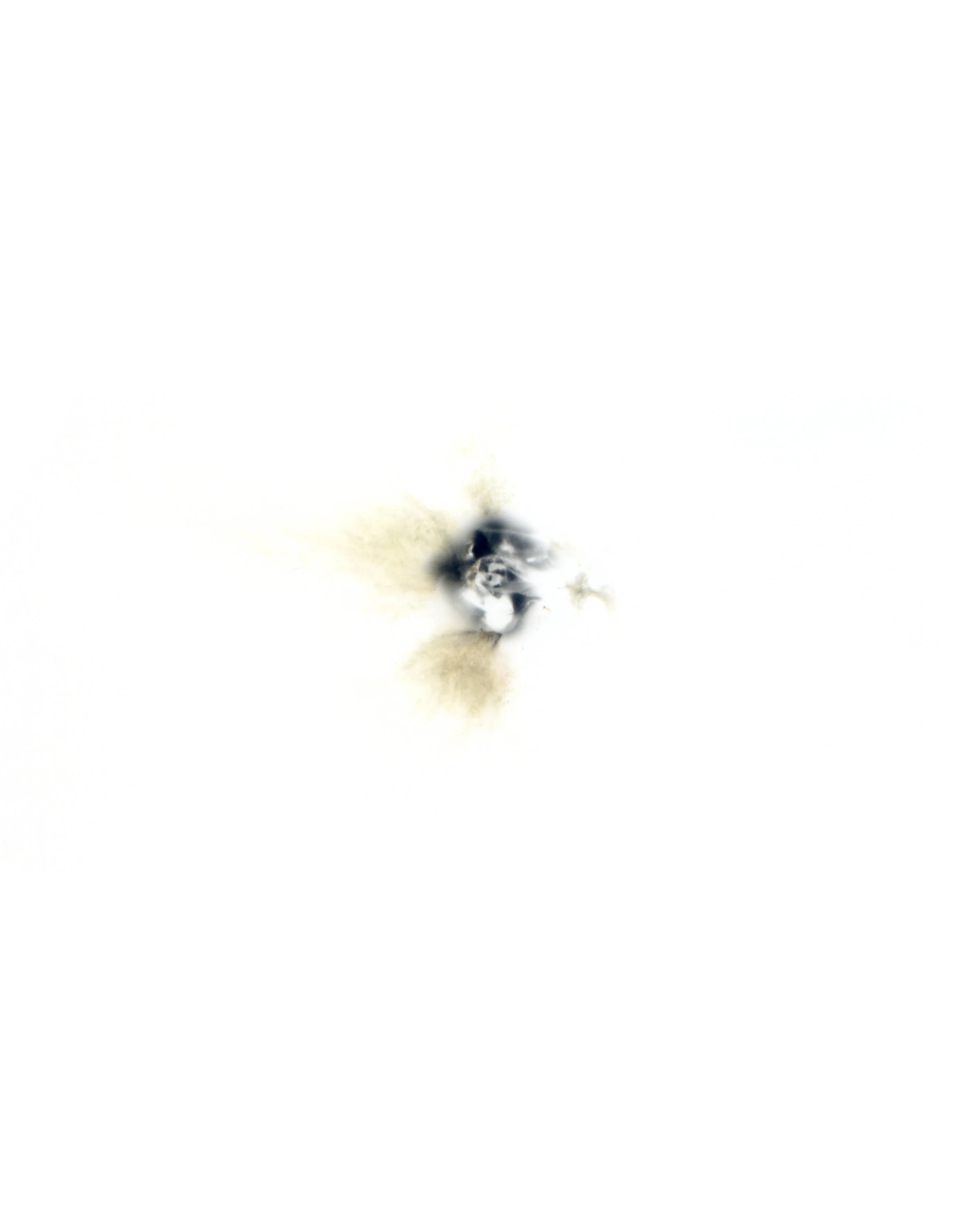 Spark#4.jpg
