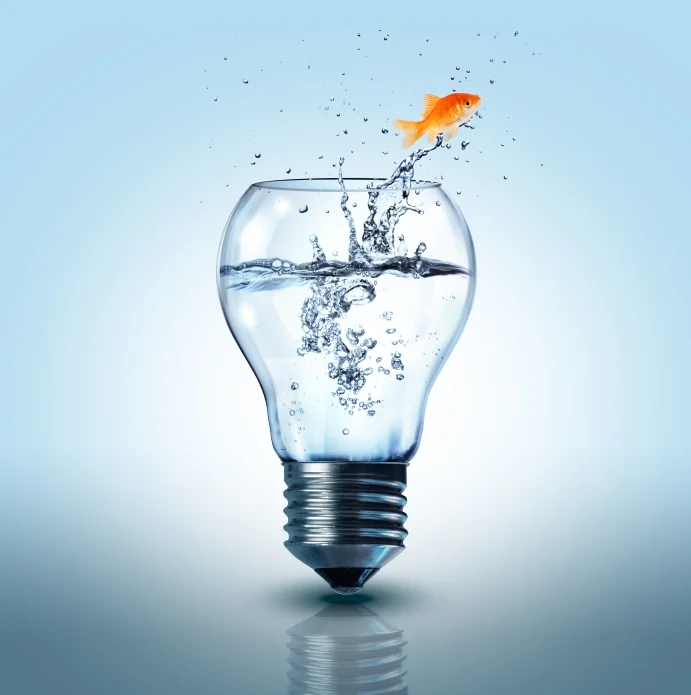 Fish Jumping.jpg